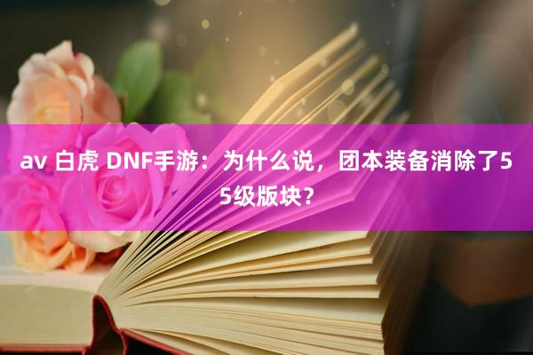 av 白虎 DNF手游：为什么说，团本装备消除了55级版块？