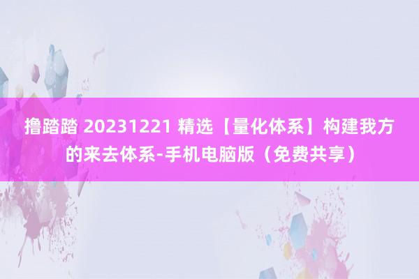 撸踏踏 20231221 精选【量化体系】构建我方的来去体系-手机电脑版（免费共享）