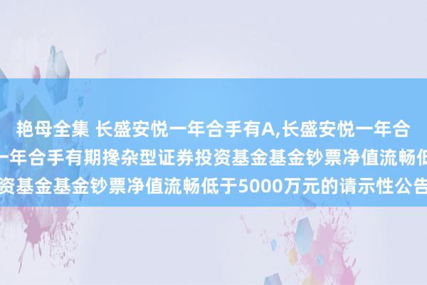 艳母全集 长盛安悦一年合手有A，长盛安悦一年合手有C: 对于长盛安悦一年合手有期搀杂型证券投资基金基金钞票净值流畅低于5000万元的请示性公告