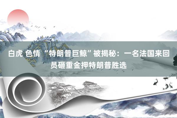 白虎 色情 “特朗普巨鲸”被揭秘：一名法国来回员砸重金押特朗普胜选