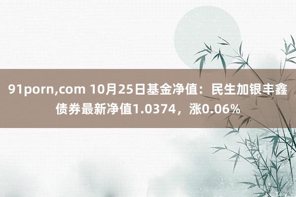 91porn，com 10月25日基金净值：民生加银丰鑫债券最新净值1.0374，涨0.06%