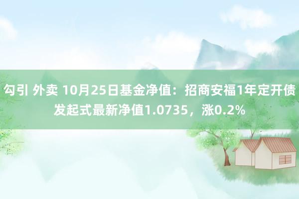 勾引 外卖 10月25日基金净值：招商安福1年定开债发起式最新净值1.0735，涨0.2%