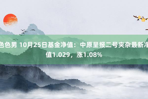 色色男 10月25日基金净值：中原呈报二号夹杂最新净值1.029，涨1.08%