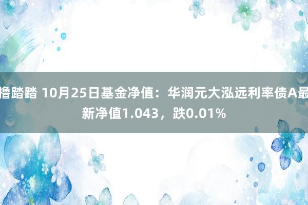 撸踏踏 10月25日基金净值：华润元大泓远利率债A最新净值1.043，跌0.01%