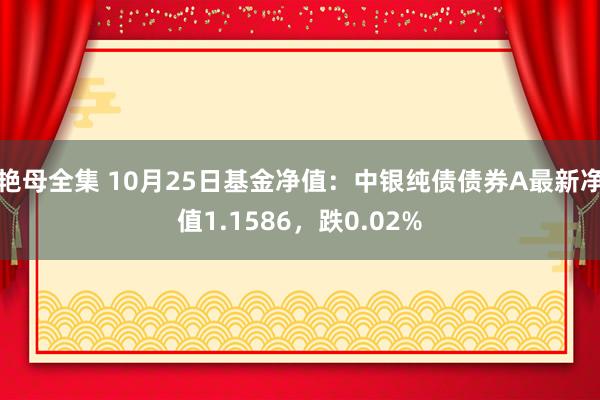 艳母全集 10月25日基金净值：中银纯债债券A最新净值1.1586，跌0.02%