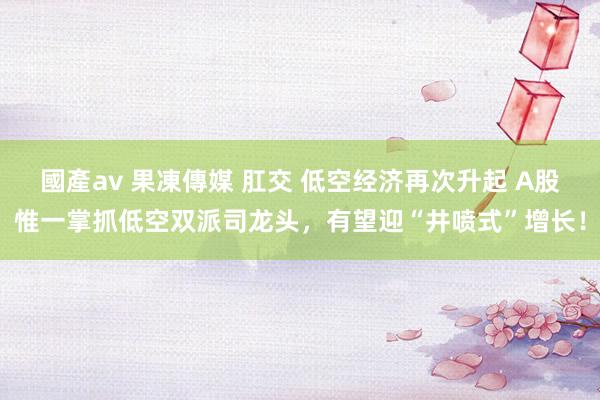 國產av 果凍傳媒 肛交 低空经济再次升起 A股惟一掌抓低空双派司龙头，有望迎“井喷式”增长！