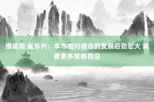 撸踏踏 崔东树：车市相对楼市的发展后劲宏大 需要更多策略相沿