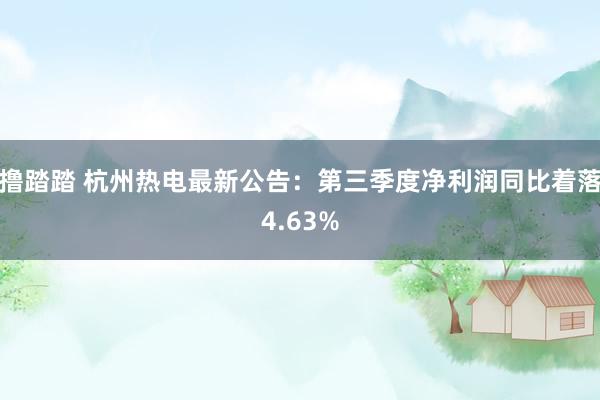 撸踏踏 杭州热电最新公告：第三季度净利润同比着落4.63%