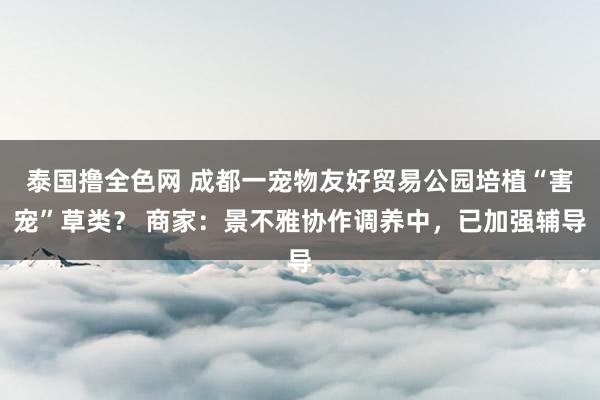 泰国撸全色网 成都一宠物友好贸易公园培植“害宠”草类？ 商家：景不雅协作调养中，已加强辅导