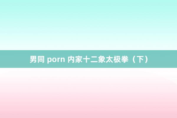 男同 porn 内家十二象太极拳（下）