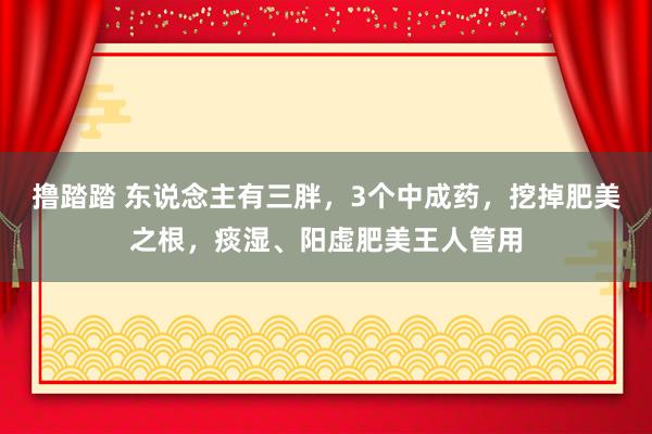 撸踏踏 东说念主有三胖，3个中成药，挖掉肥美之根，痰湿、阳虚肥美王人管用