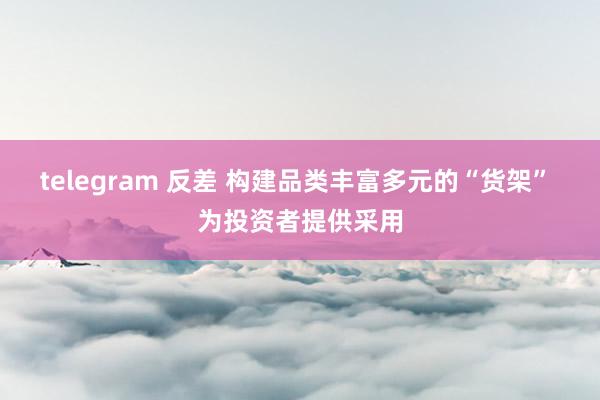 telegram 反差 构建品类丰富多元的“货架” 为投资者提供采用