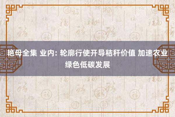 艳母全集 业内: 轮廓行使开导秸秆价值 加速农业绿色低碳发展