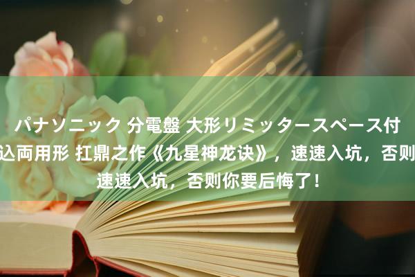 パナソニック 分電盤 大形リミッタースペース付 露出・半埋込両用形 扛鼎之作《九星神龙诀》，速速入坑，否则你要后悔了！