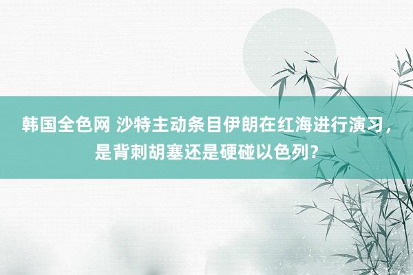 韩国全色网 沙特主动条目伊朗在红海进行演习，是背刺胡塞还是硬碰以色列？