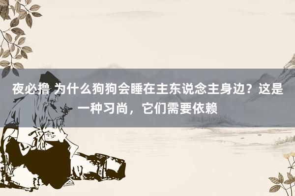 夜必撸 为什么狗狗会睡在主东说念主身边？这是一种习尚，它们需要依赖