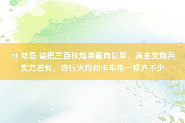 nt 动漫 能把三百枚炮弹砸向以军，真主党炮兵实力若何，自行火炮和卡车炮一样齐不少