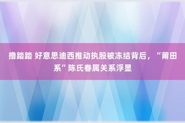 撸踏踏 好意思迪西推动执股被冻结背后，“莆田系”陈氏眷属关系浮显