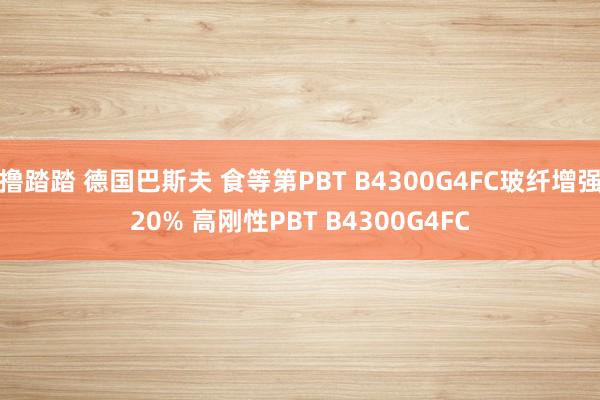 撸踏踏 德国巴斯夫 食等第PBT B4300G4FC玻纤增强20% 高刚性PBT B4300G4FC