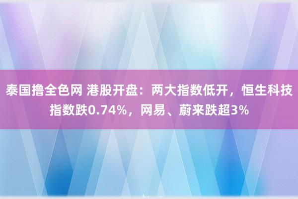 泰国撸全色网 港股开盘：两大指数低开，恒生科技指数跌0.74%，网易、蔚来跌超3%