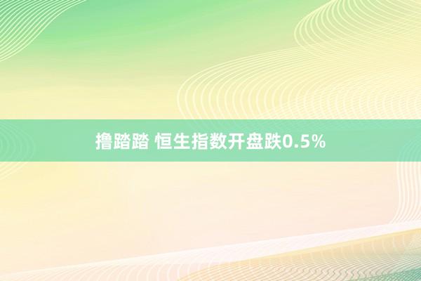 撸踏踏 恒生指数开盘跌0.5%