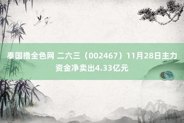 泰国撸全色网 二六三（002467）11月28日主力资金净卖出4.33亿元