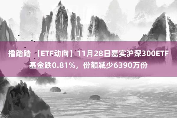 撸踏踏 【ETF动向】11月28日嘉实沪深300ETF基金跌0.81%，份额减少6390万份