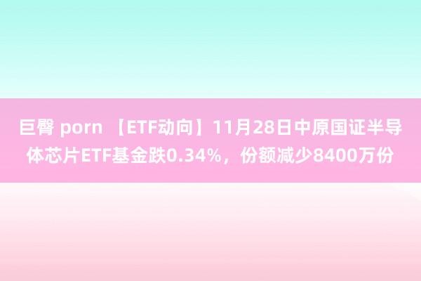 巨臀 porn 【ETF动向】11月28日中原国证半导体芯片ETF基金跌0.34%，份额减少8400万份