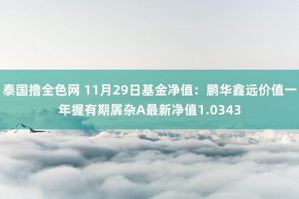 泰国撸全色网 11月29日基金净值：鹏华鑫远价值一年握有期羼杂A最新净值1.0343