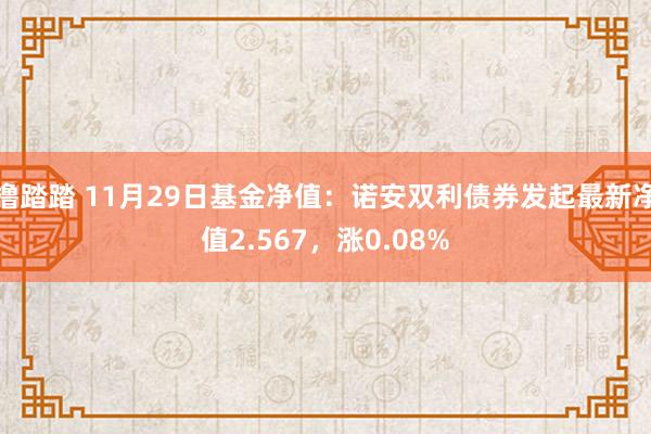 撸踏踏 11月29日基金净值：诺安双利债券发起最新净值2.567，涨0.08%