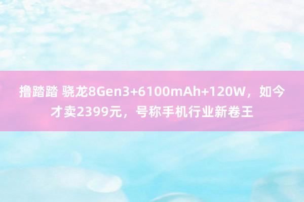 撸踏踏 骁龙8Gen3+6100mAh+120W，如今才卖2399元，号称手机行业新卷王