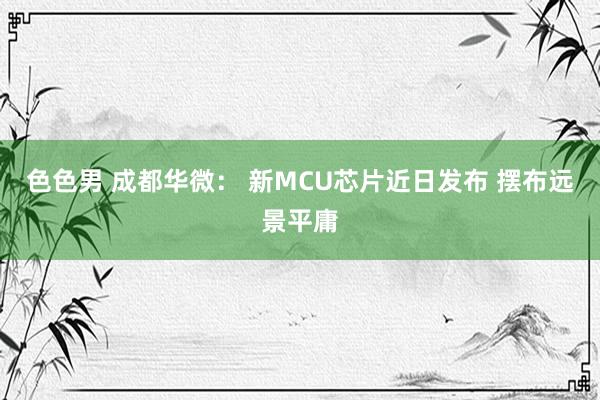 色色男 成都华微： 新MCU芯片近日发布 摆布远景平庸