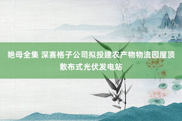 艳母全集 深赛格子公司拟投建农产物物流园屋顶散布式光伏发电站