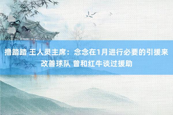 撸踏踏 王人灵主席：念念在1月进行必要的引援来改善球队 曾和红牛谈过援助