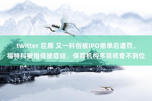 twitter 巨屌 又一科创板IPO撤单后遭罚，福特科被指信披症结，保荐机构多项核查不到位