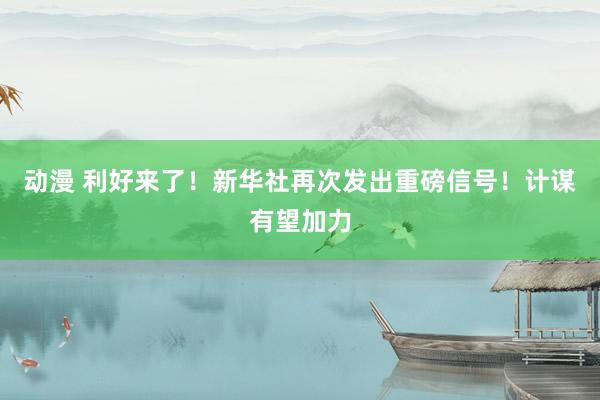 动漫 利好来了！新华社再次发出重磅信号！计谋有望加力