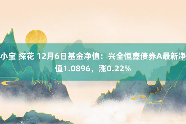 小宝 探花 12月6日基金净值：兴全恒鑫债券A最新净值1.0896，涨0.22%