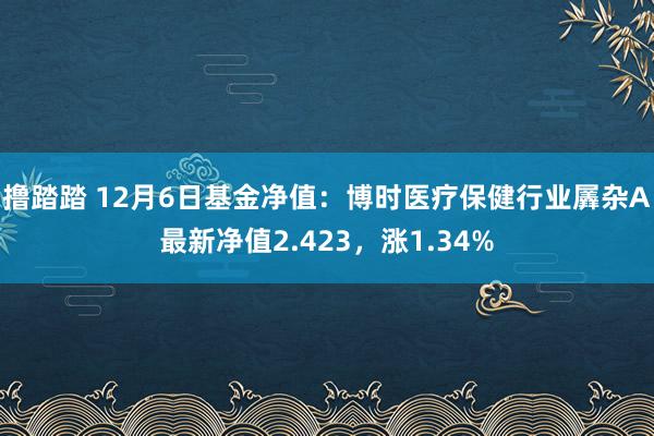 撸踏踏 12月6日基金净值：博时医疗保健行业羼杂A最新净值2.423，涨1.34%