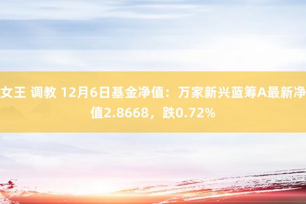 女王 调教 12月6日基金净值：万家新兴蓝筹A最新净值2.8668，跌0.72%