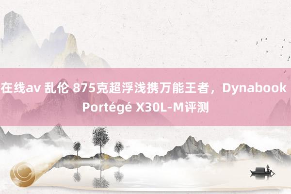 在线av 乱伦 875克超浮浅携万能王者，Dynabook Portégé X30L-M评测