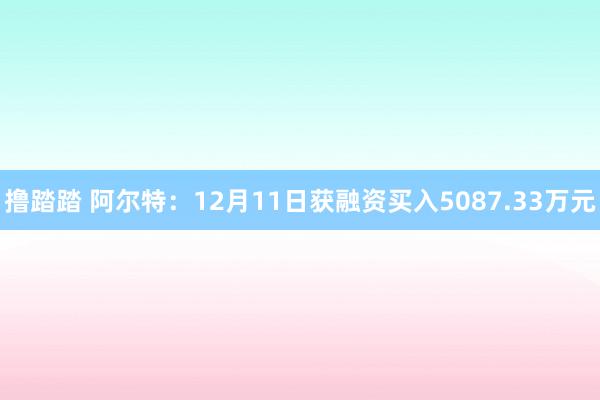 撸踏踏 阿尔特：12月11日获融资买入5087.33万元