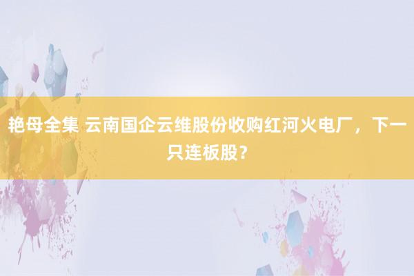 艳母全集 云南国企云维股份收购红河火电厂，下一只连板股？