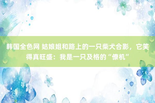 韩国全色网 姑娘姐和路上的一只柴犬合影，它笑得真旺盛：我是一只及格的“僚机”