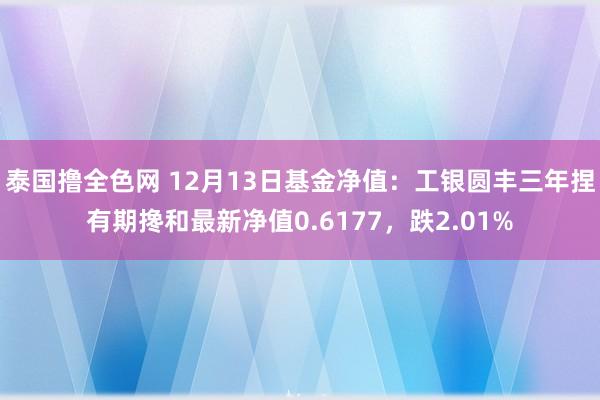 泰国撸全色网 12月13日基金净值：工银圆丰三年捏有期搀和最新净值0.6177，跌2.01%