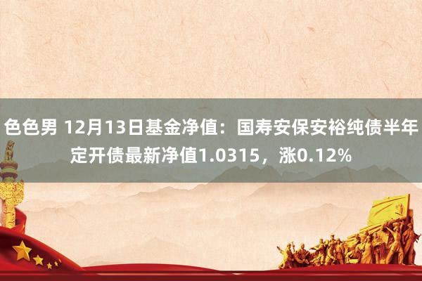 色色男 12月13日基金净值：国寿安保安裕纯债半年定开债最新净值1.0315，涨0.12%