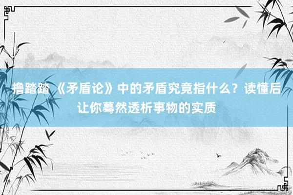 撸踏踏 《矛盾论》中的矛盾究竟指什么？读懂后让你蓦然透析事物的实质