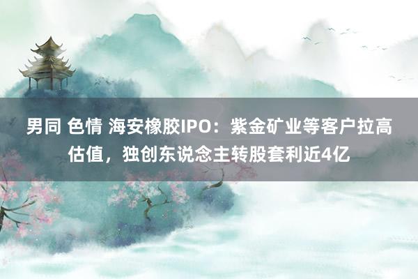 男同 色情 海安橡胶IPO：紫金矿业等客户拉高估值，独创东说念主转股套利近4亿