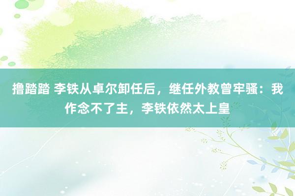 撸踏踏 李铁从卓尔卸任后，继任外教曾牢骚：我作念不了主，李铁依然太上皇