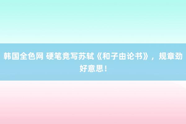 韩国全色网 硬笔竞写苏轼《和子由论书》，规章劲好意思！