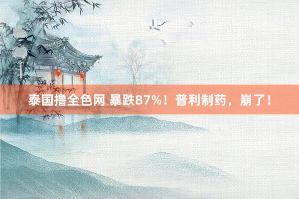 泰国撸全色网 暴跌87%！普利制药，崩了！